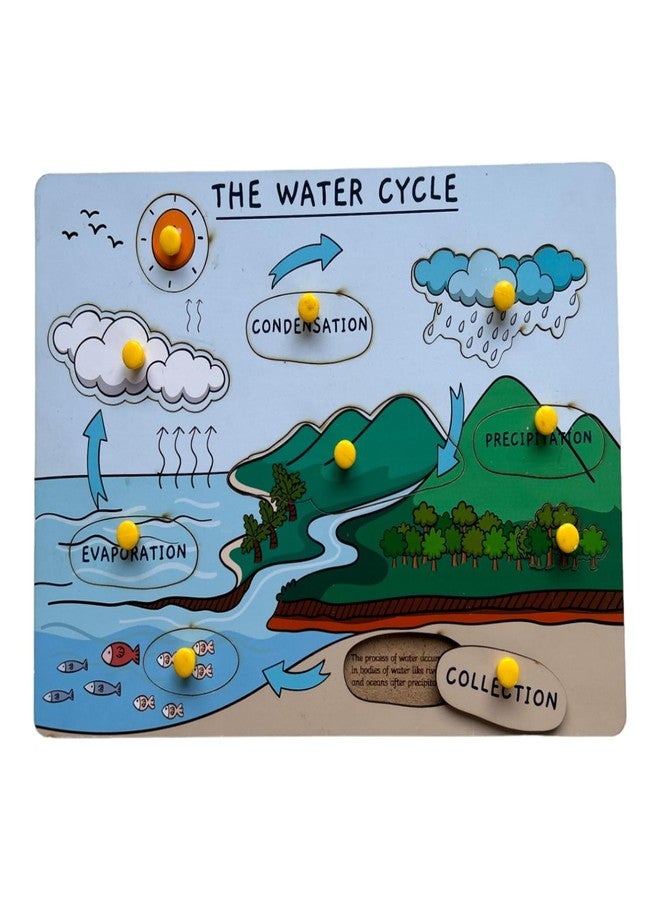 Kiddiwinks Winkslab: Nature's Recycling System: The Wonders of The Water Cycle - Image 3